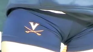 Fabelaktig kamel tær for en volleyball-laget
