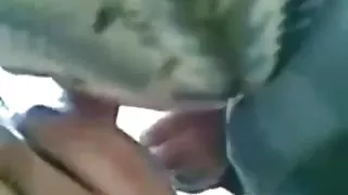Hijab blowjob