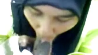 Fin bj