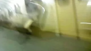 Nye flash 37
