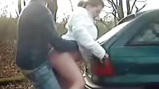 Å stoppe bilen for å knulle