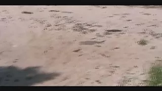 Voyeur fanger milf på en strand