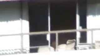 En annen balkong knulle del 5 av 6