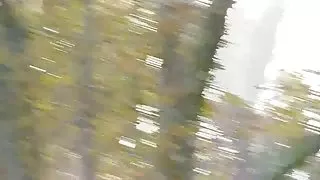 Nika camina por el bosque