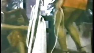 Aki wang vintage loop (gr-2)