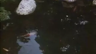Chinees jente og sexy blondie i klassisk porno film
